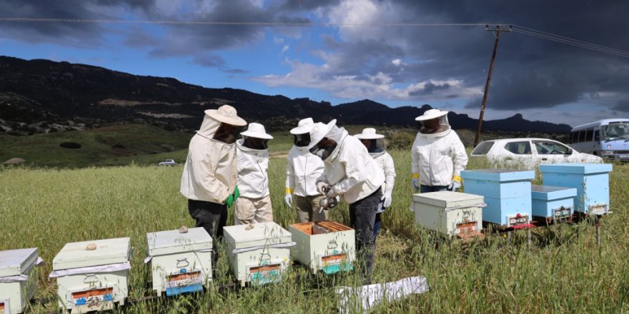 Arıcıların 30 Ağustos’a kadar kayıt yaptırması gerekiyor