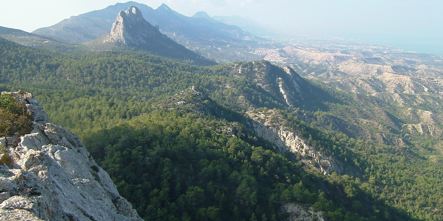 "Ülkemiz orman fakiridir"