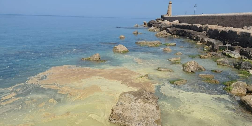 "Panik yapacak bir şey yok!"