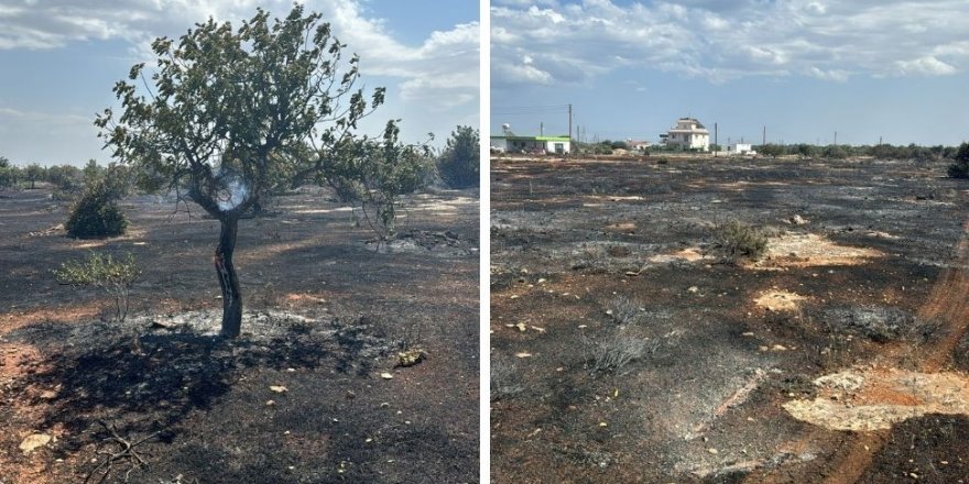 Temizlik için ateş yakan zanlı yangına neden oldu