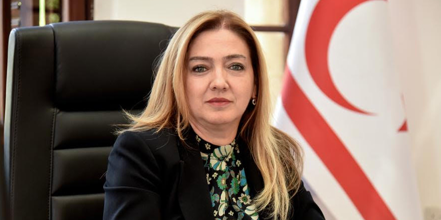 "İskan ve Rehabilitasyon Dairesi ile Tapu ve Kadastro Dairesi, Anayasa ve İyi İdare Yasası’na aykırı davrandı"