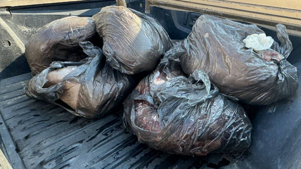 Bostancı Kara Geçiş Kapısı’nda 200 kilo kaçak et ele geçirildi!