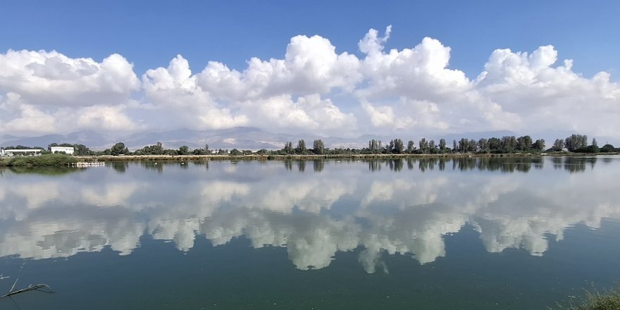 Derneği: Haspolat sulak alanı el birliğiyle yok ediliyor