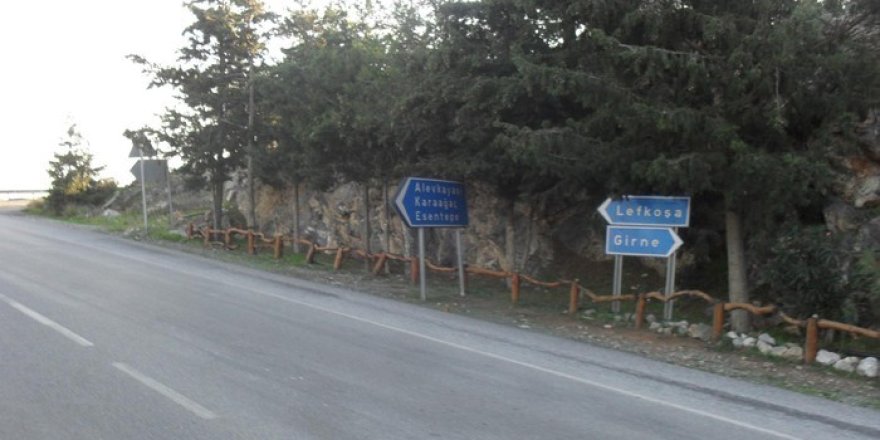 Değirmenlik-Dağ Yolu güzergahında ağaç budama ve temizlik yapılacak