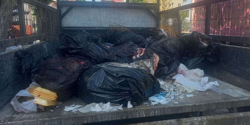 Gazimağusa’da 448 kilo kaçak et ele geçirildi