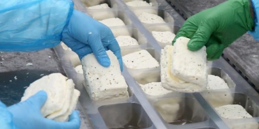 Hellimle ilgili değişiklikler Resmi Gazete’de yayınlandı