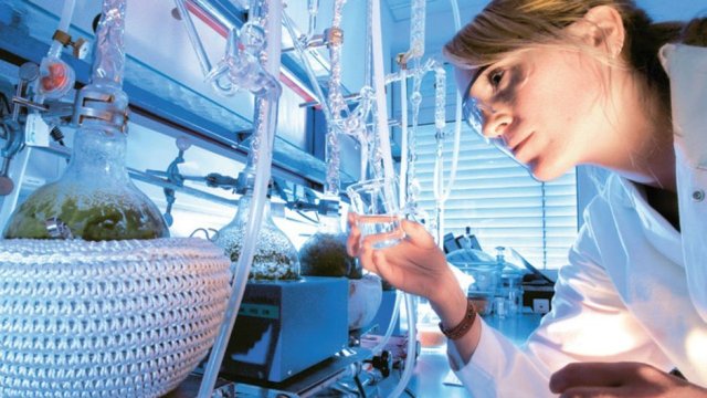 Alternatif tıpın popülerleşmesi tartışmaları da beraberinde getiriyor