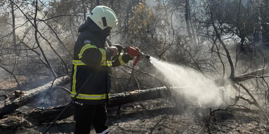 10 dönümlük alan kül oldu!