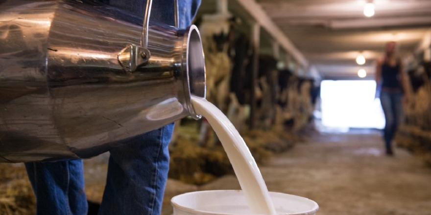 Çiğ sütün taban fiyatına zam geldi