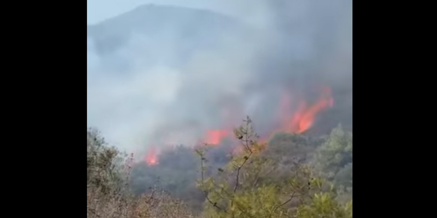 Girne Belediye Başkanı Murat Şenkul acil yardım çağrısı!