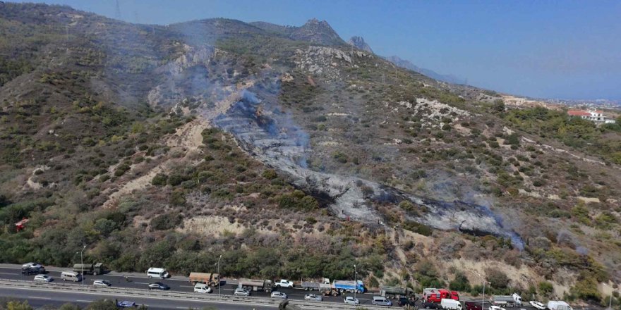 8 dönüm makilik alan yandı