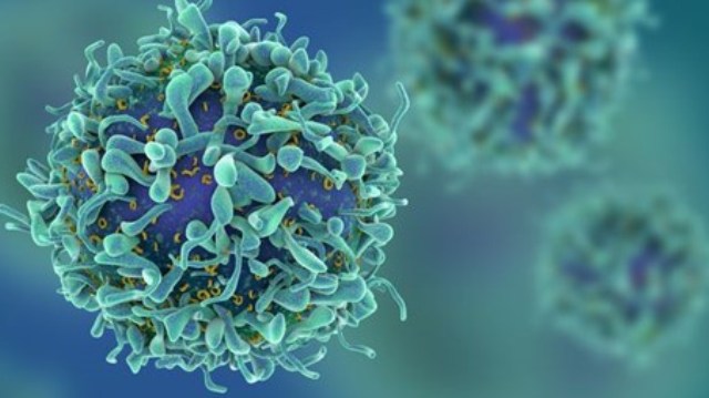 Kanser hücreleri aç kaldı, kemoterapi ve immünoterapinin etkisi arttı