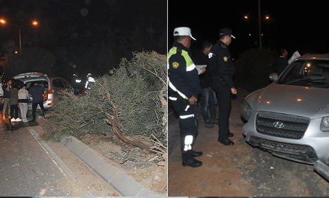 Refüje çıktı, ağaca çarptı