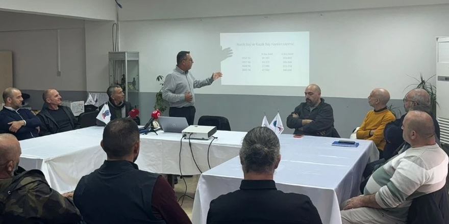 Şenkaya: 200 milyon Euro Güney'e kaydı