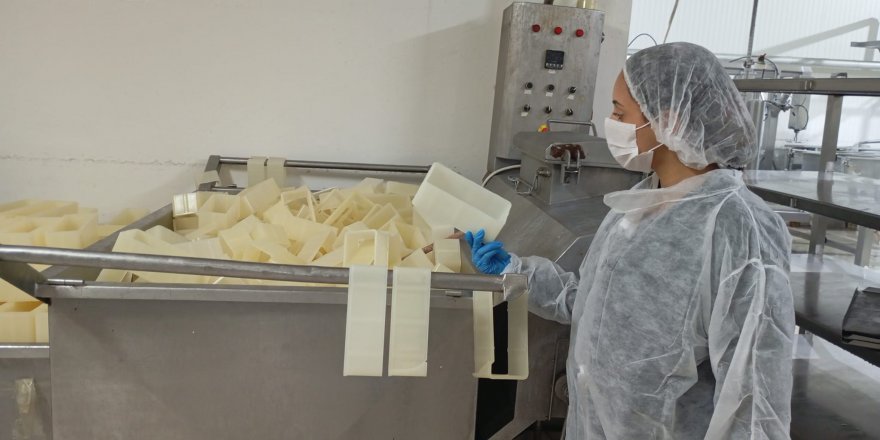 Değirmenlik-Akıncılar’da 76 iş yeri denetlendi