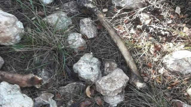 Mersin'de çalılık alanda insan kemikleri bulundu