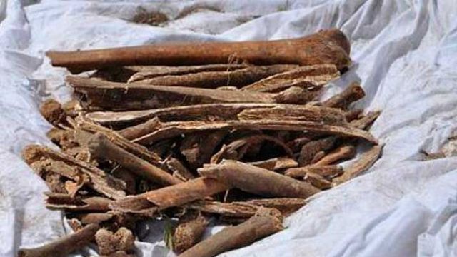 Baf’ta şapelde kumaşa sarılmış, M.S. 1400’lere tarihlenen insan kemikleri bulundu