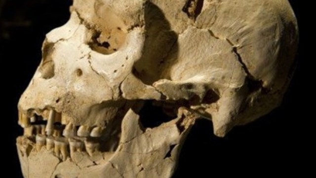 İlk insanlar hakkında 'Kuzey Amerika' iddiası