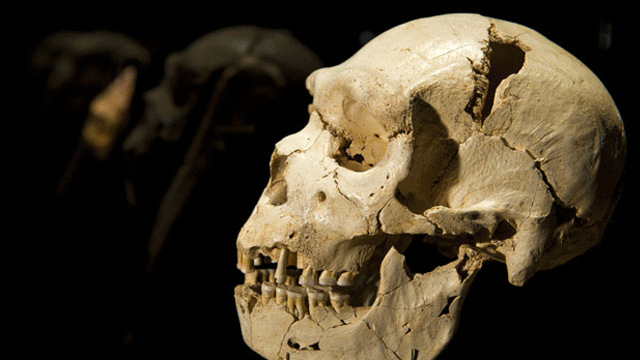 İlk insanlar hakkında 'Kuzey Amerika' iddiası