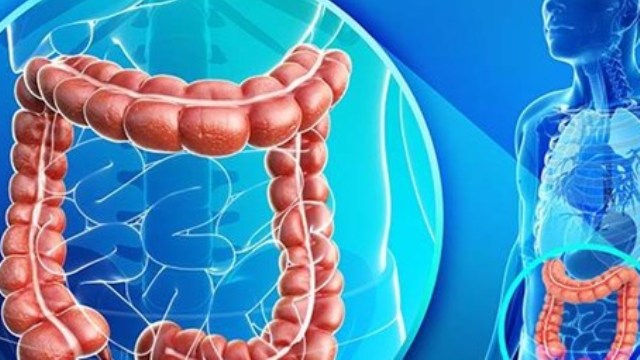 Mikrobiyota teşhis edilemeyen hastalıkların nedeni olabilir!