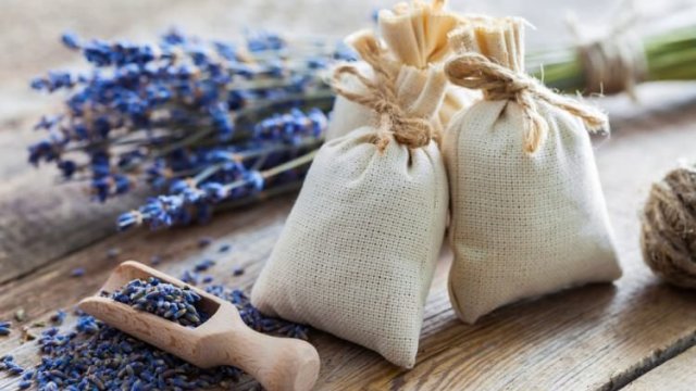 Hangi koku neye iyi gelir?