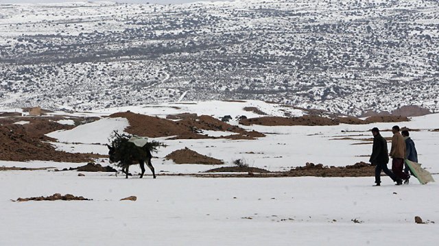 Sahra Çölü bu yıl da beyaza büründü