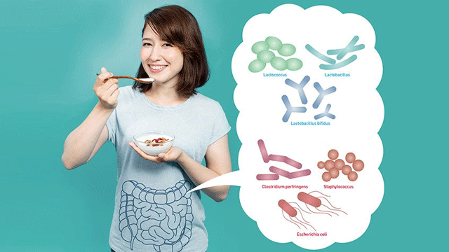 Bağırsak florasını bozan ve iyileştiren etkenler