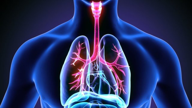 Bir kere tüttüren de tiryaki!