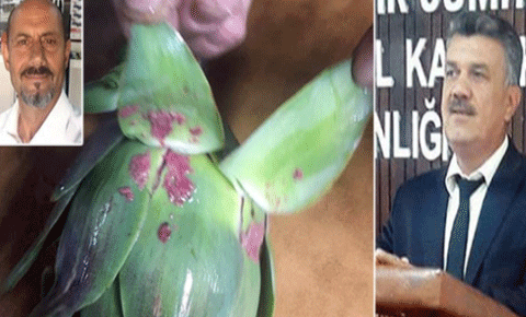 İlaç kalıntıları vatandaşı isyan ettirdi