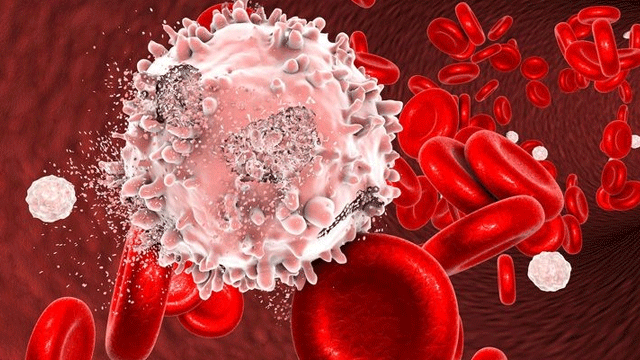 Bağışıklık sistemini güçlendirmenin en doğal yolu