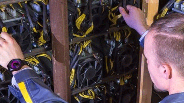 Kripto enerjiden bitki üretimi