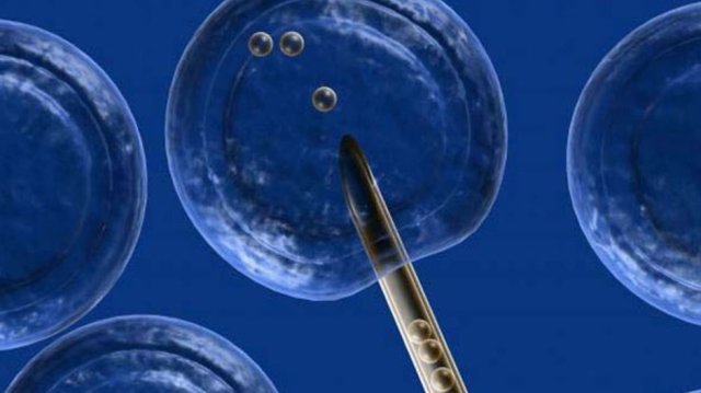 Tüp bebekte başarıya doping