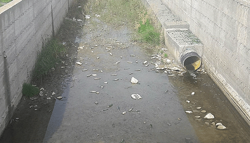 Hastane dibinde rezalet!