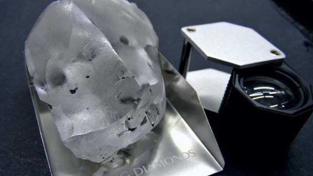 Dünyanın en büyük beşinci elması bulundu