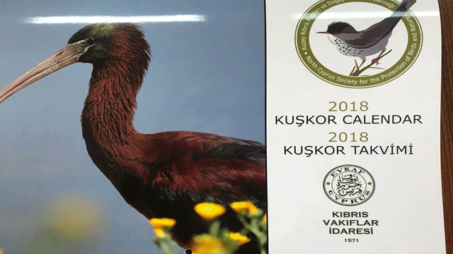 Kıbrıs Vakıflar İdaresi, Kıbrıs’ta yaşayan kuşların korunmasına destek verdi