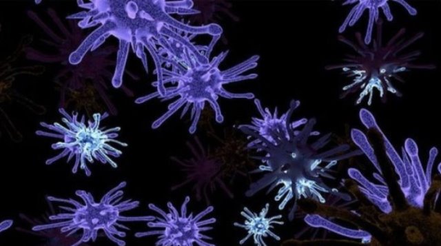 Bilim insanları Azteklerin ölüm nedenini buldu