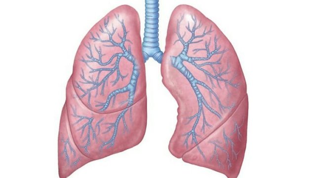 Akciğerleri yeniden doğmuş gibi temizleyen yöntem!