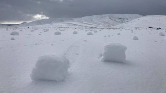 Kayseri'de köylüleri şaşırtan görüntü