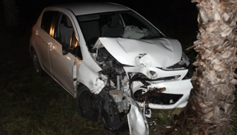 Ağaca çarparak durabildi