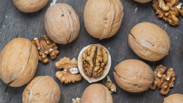 Ceviz erkeklerde sperm kalitesini artırıyor