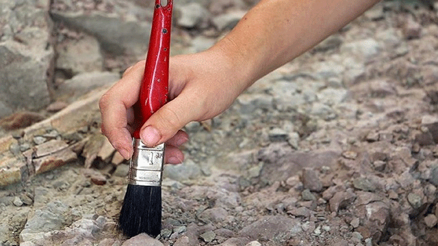 508 milyon yıllık solucan fosilleri bulundu