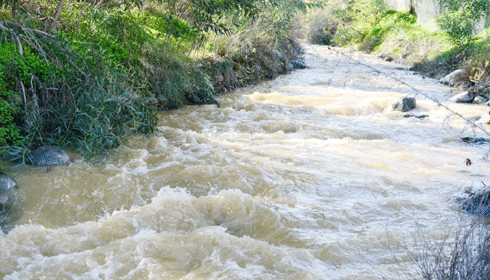 Bereketli yağışlar dereleri getirdi