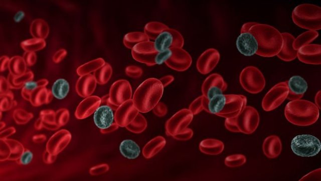 Alkol kanserojen maddeler sıralamasında birinci grupta yer alıyor!