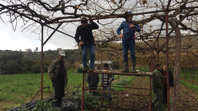 Tarım Dairesi eğitim çalışmalarına bu hafta Yeşilırmak’ta devam etti