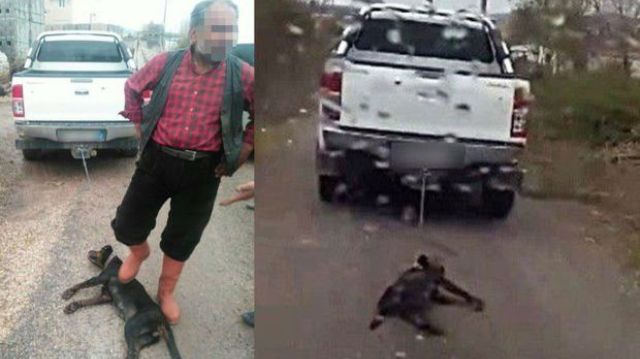 Mersin'de köpeği otomobilin arkasında sürükleyen öğretmen hakkında soruşturma başlatıldı