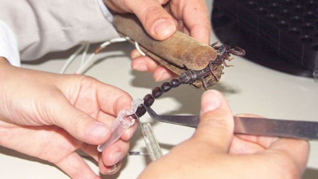 Tıp için 500 akreple yaşıyorlar