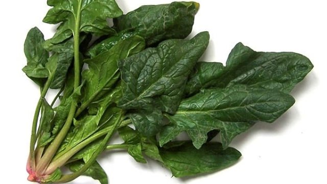 Demir eksikliğine iyi gelen besinler