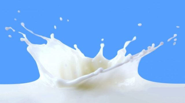 Süt bedelleri ödenmeye başladı