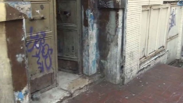 Taksim'de metruk binada dövüş köpekleri bulundu