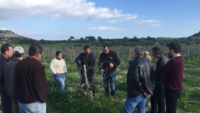 Tarım Dariesi arı popülasyonunun korunması için tavsiyelerde bulundu